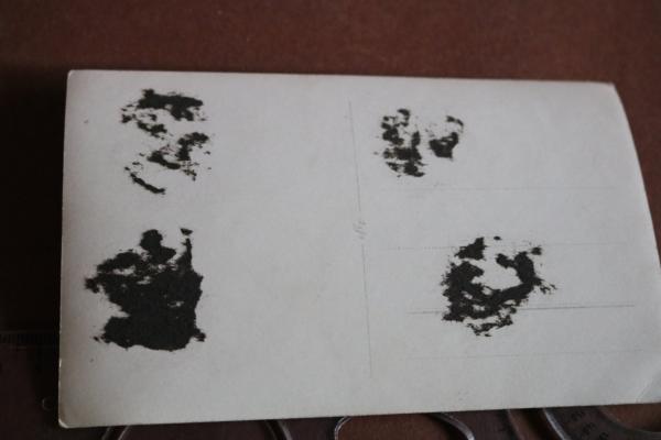 tolles Portrait eines R.A.D.-Mannes - Abteilung 237/6